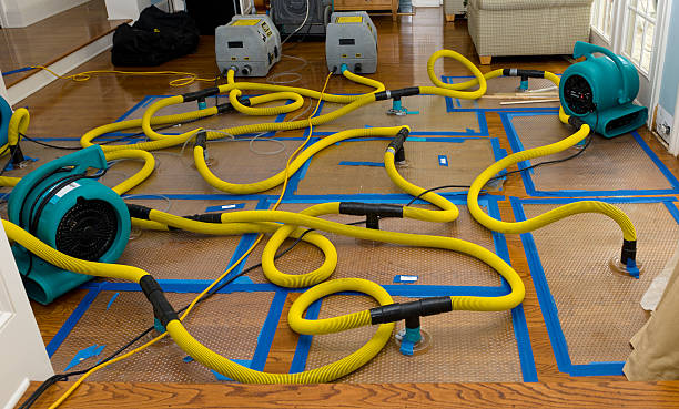 Professional Sewage Cleanup technician working in Brandon, TX